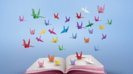 1_sxyHYkKZHfGRhDnG11cUxw